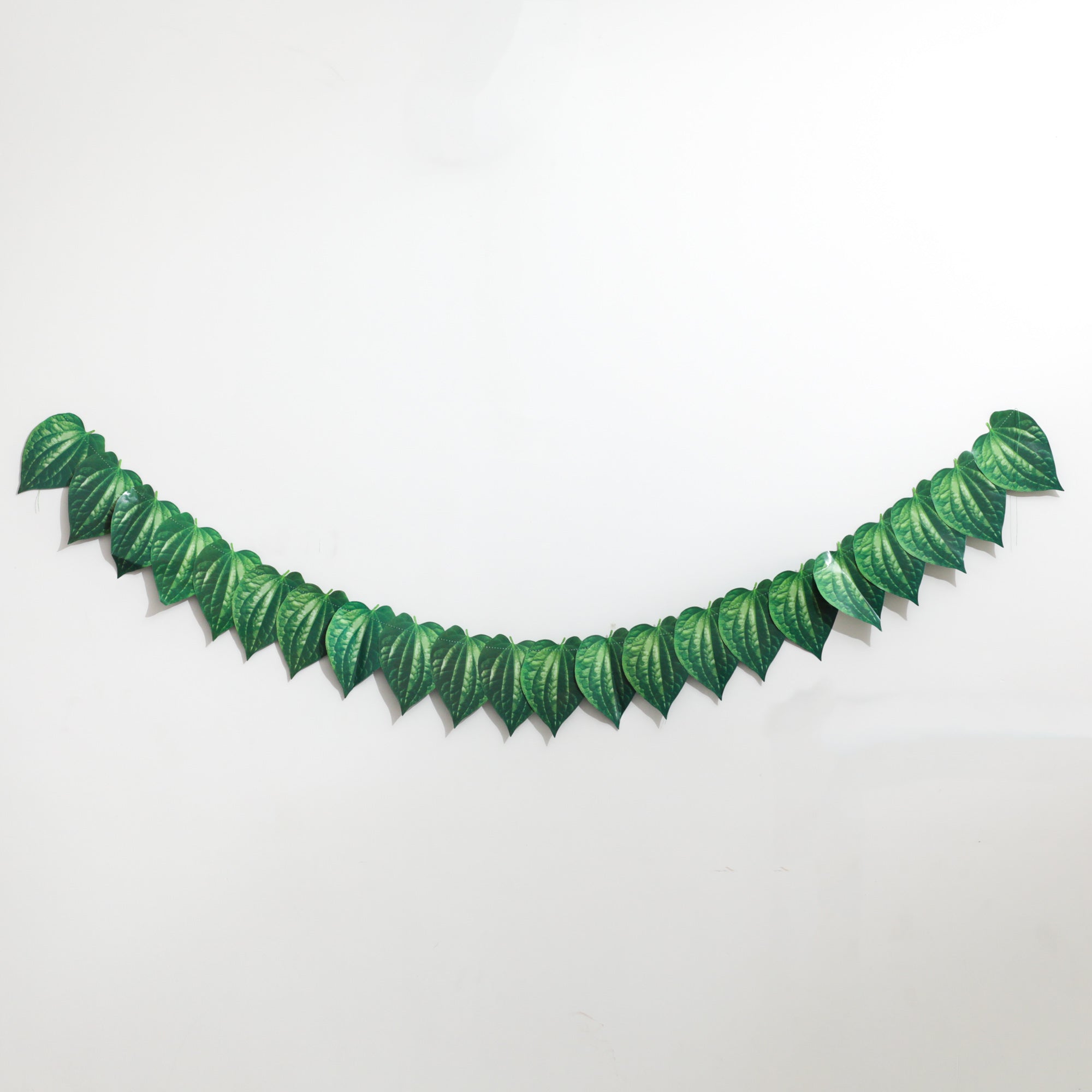 Toran for entryway and doorway in the USA