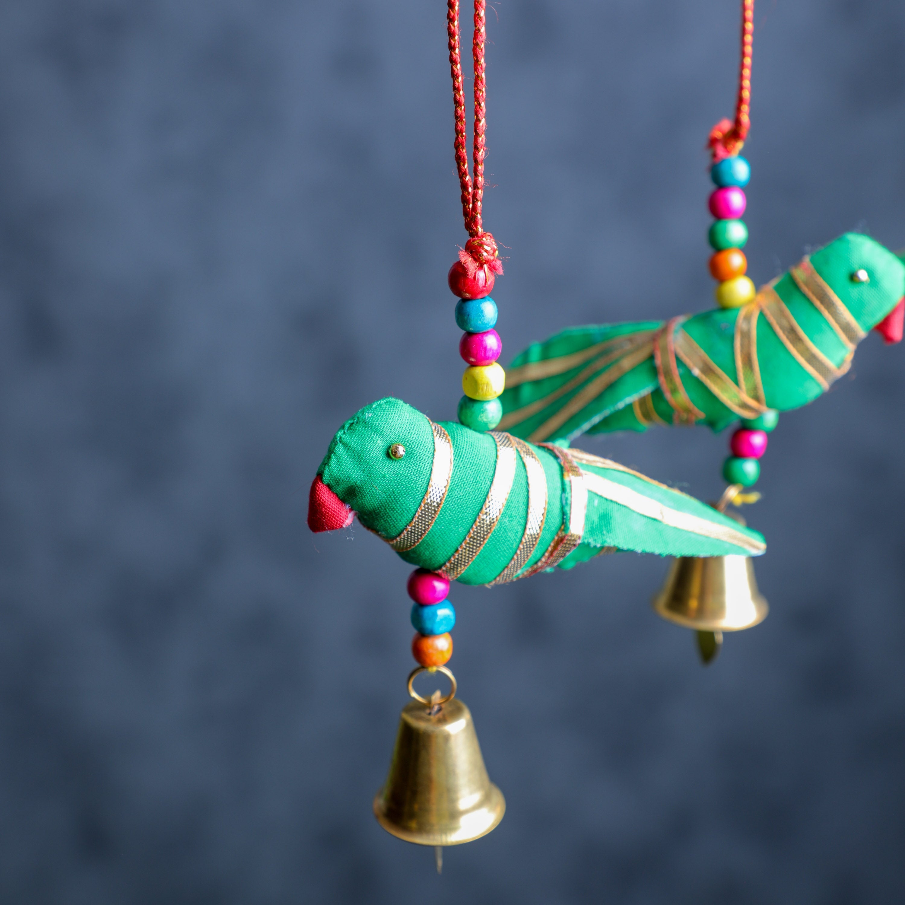 parrot charm