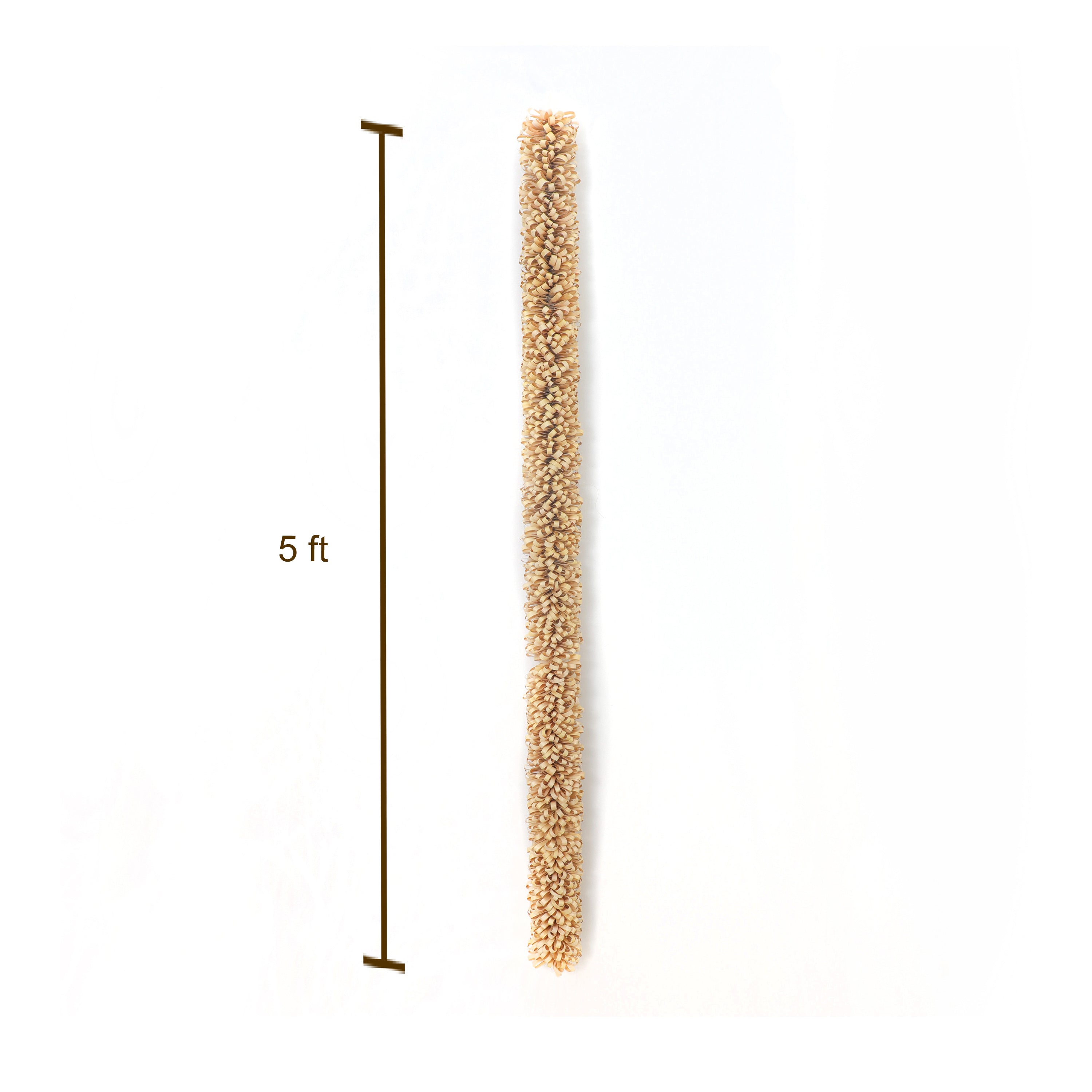 Indoor and Outdoor Decor for Traditional Indian Ceremonies